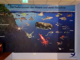 Haus des Meeres 4.02.2026